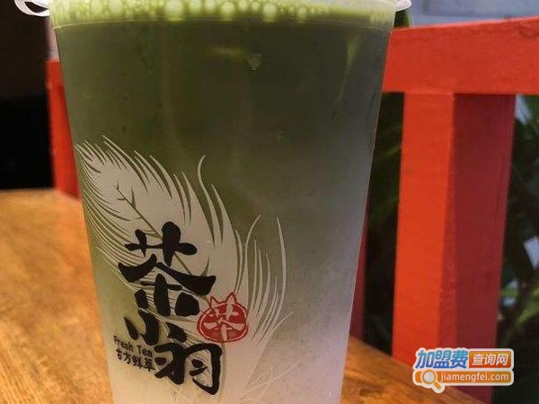 茶小羽奶茶加盟费