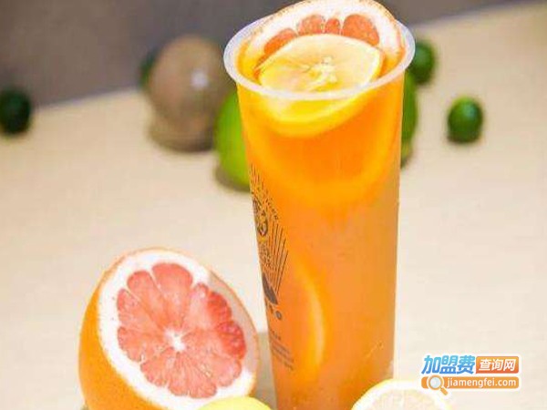 鲜茶柠檬宝贝饮品加盟费