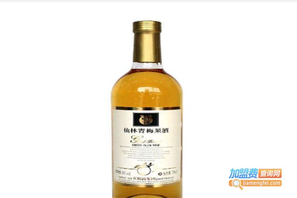 武得果酒加盟费