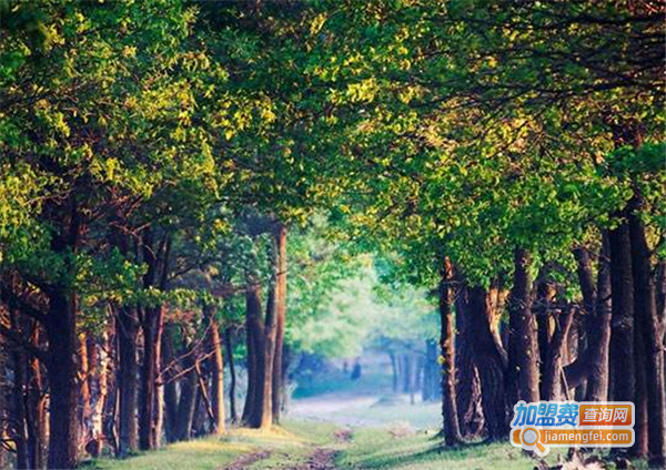 勇霖空气治理加盟费