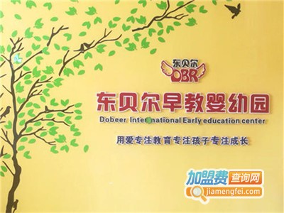 东贝尔全脑早教加盟费