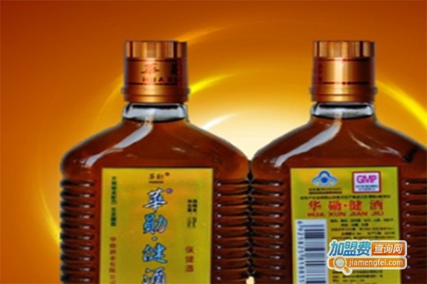 杜健养生酒加盟费