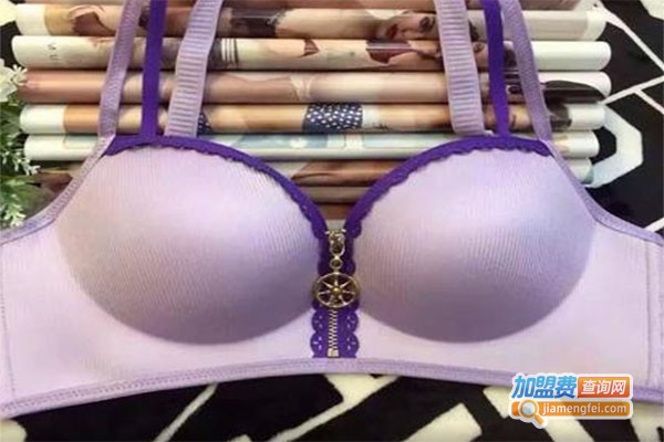 都市佳人风内衣加盟费