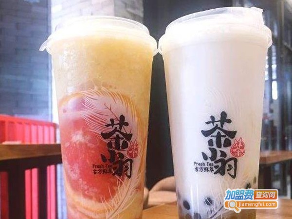 茶小羽奶茶加盟费