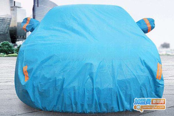 威扬智能遥控自动车衣加盟