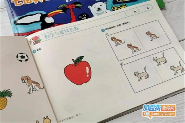 武大思瑞全脑开发加盟费