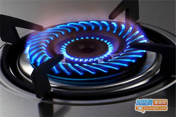 蓝源高能油加盟门店