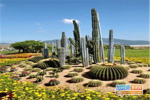 卉丰园生态加盟费