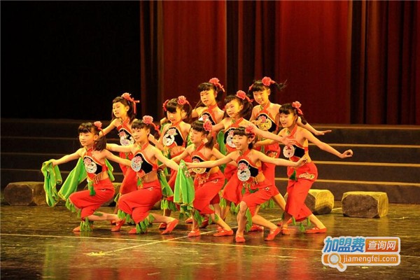 小天鹅舞蹈加盟费