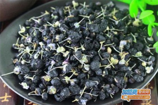 匠道黑枸杞养生酒加盟费