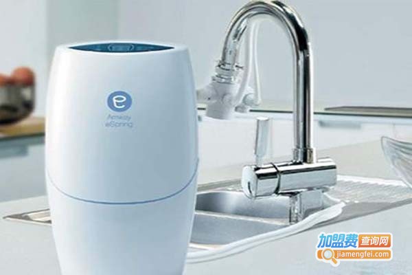 懒夫人净水器加盟门店