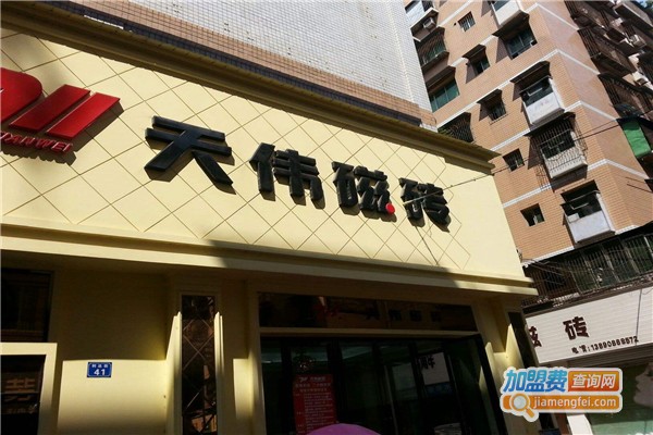 天伟磁砖