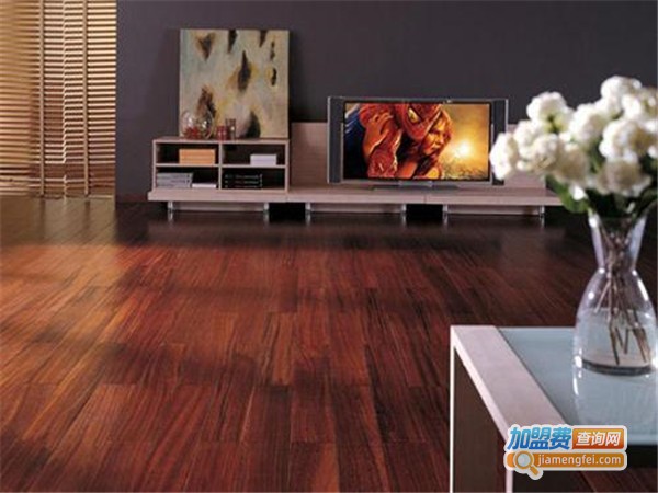 美多制热安全地板加盟门店