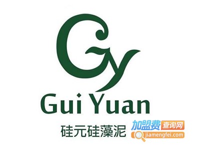 硅元硅藻泥加盟费