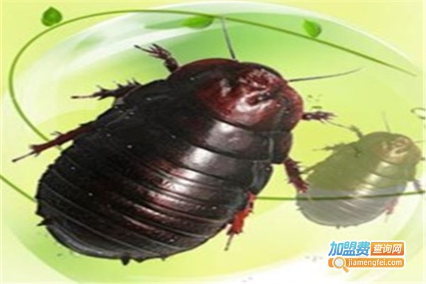 润农金土元加盟费