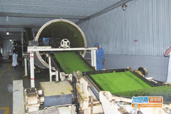 茶叶包加工设备加盟费