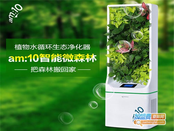 智能微森林空气净化加盟门店