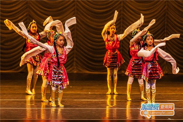 飞影舞蹈加盟费