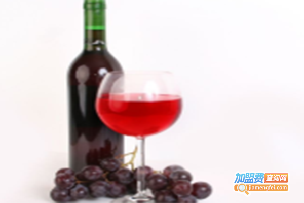 高迪进口葡萄酒加盟门店