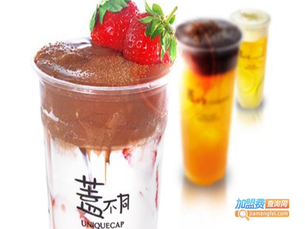 盖不同奶盖茶加盟费