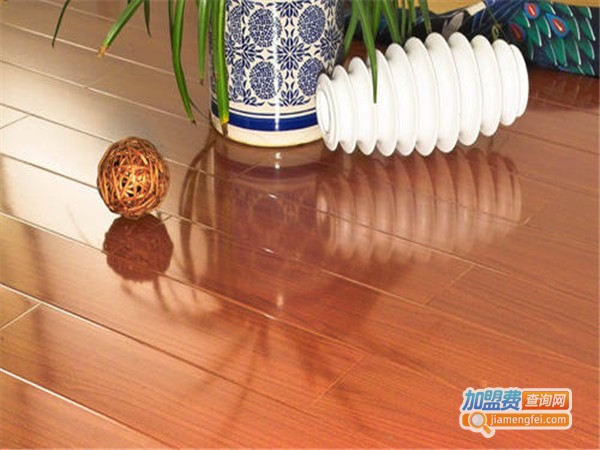 欧美雅地板加盟门店