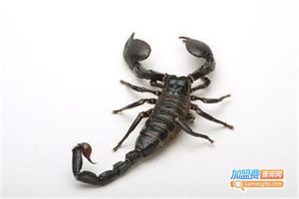 药蝎之王加盟费