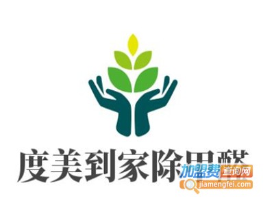 度美到家除甲醛加盟