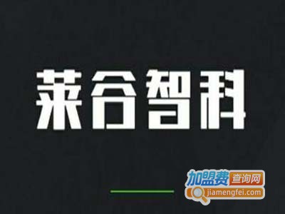 莱谷智科汽车防撞器加盟费