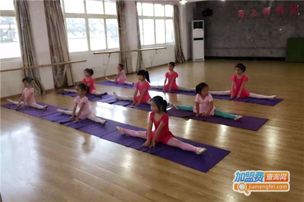 鑫舞国际舞蹈培训加盟费