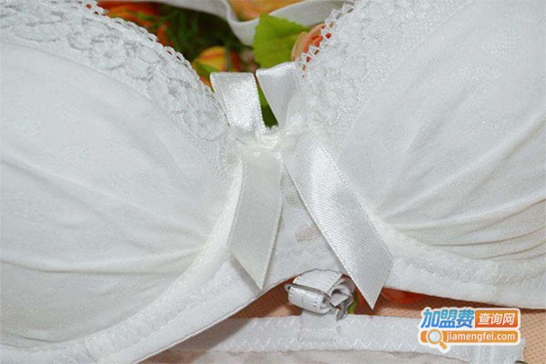 都市佳人风内衣加盟费