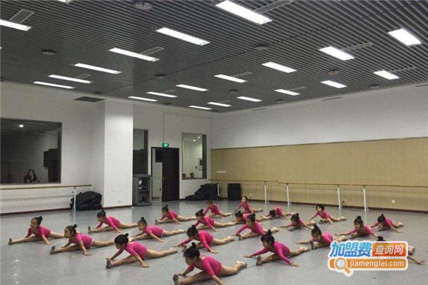 舞之林舞蹈学校加盟费