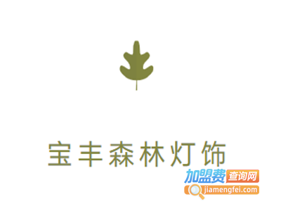 宝丰森林灯饰加盟