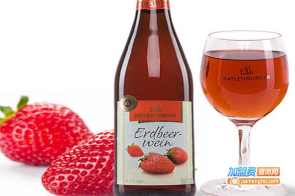 德国纽伦堡果酒加盟费