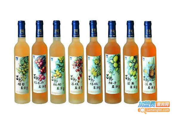 武得果酒加盟费