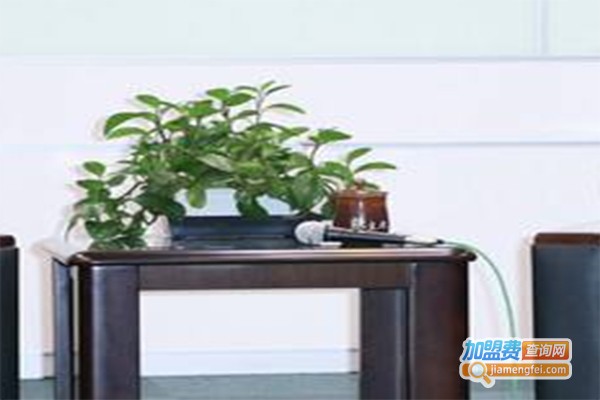 亘扬环保材料加盟