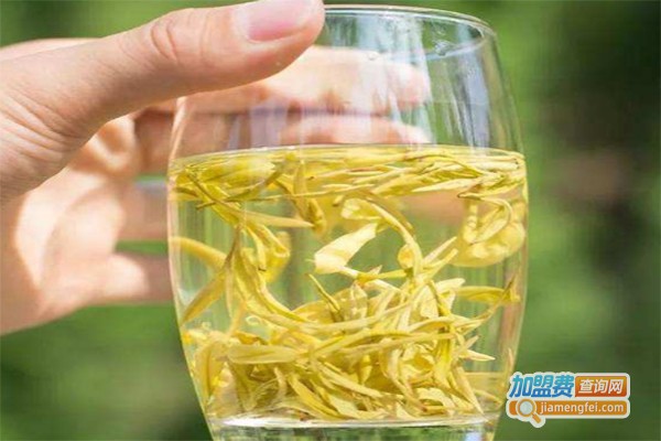 南山茶叶加盟费