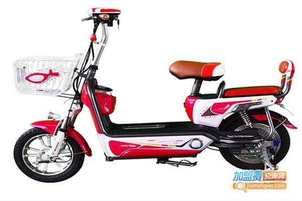 骏马电动车加盟费