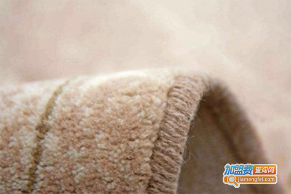 诺雅庭地毯加盟门店