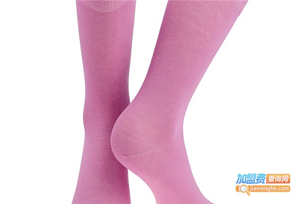 丝情格丽袜子加盟费