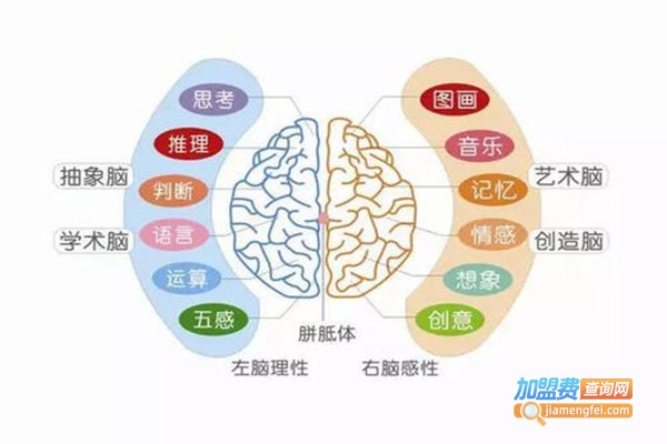 忆聚堂全脑开发加盟门店