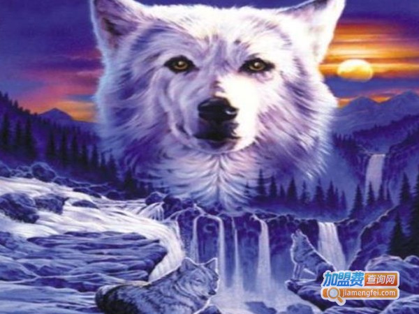 百的丽钻石画加盟