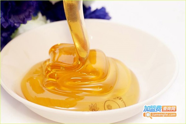 百翼蜂蜜加盟费