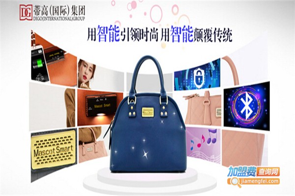 蒂高智能包加盟费