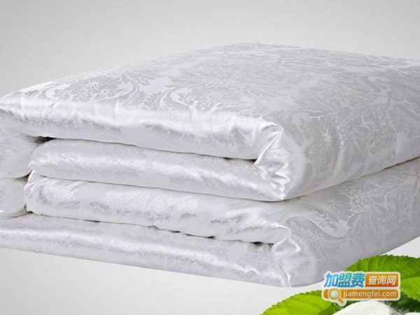 老娘舅蚕丝加盟费