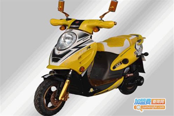 旋风智能电动车加盟费