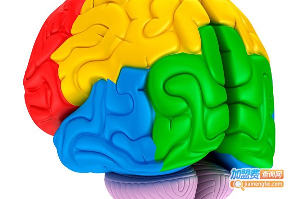 忆发图强全脑开发加盟费