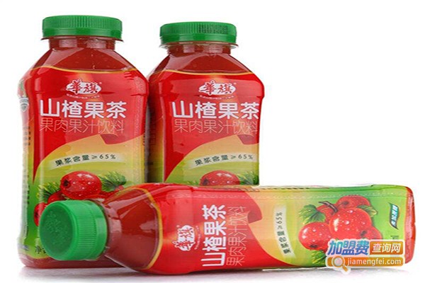 华旗果茶加盟费