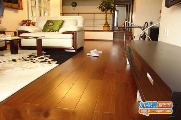 风神蓝鸟加盟门店