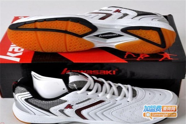 极星户外用品加盟费