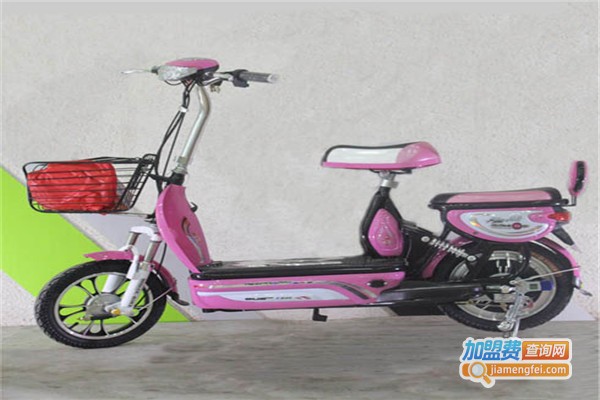 傻瓜智能电动车